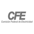 Comision Federal de Electricidad
